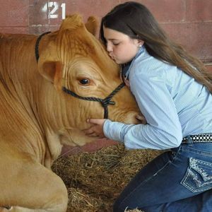 Meet your Posher, Jamie